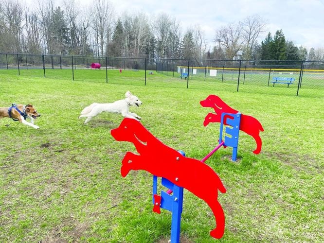 Park Improvements - photo 1